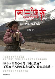 口袋妖怪擎羽掠空
