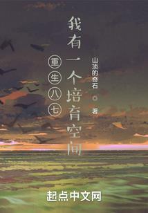 冷王商妃